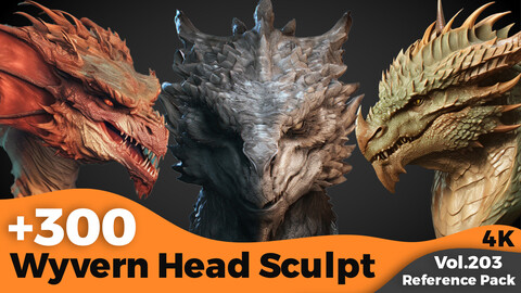 +300 Wyvern Head Sculpt Reference (4k)