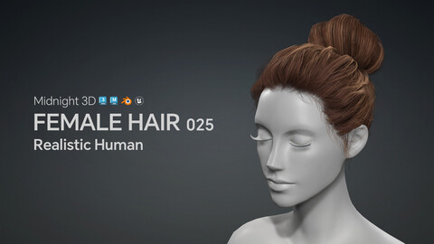 M3D Realistic Female Hair 025