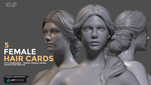 Female Hairs | UV's | High-Res Alpha Maps | Proxy Heads