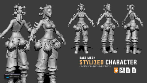 Stylized Character Base Mesh | Character Concept | FBX | OBJ | Blender | Polygroups and Subtools