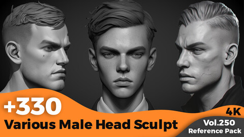 +330 Various Male Head Sculpt Reference(4k)