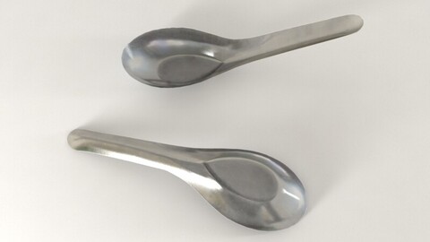 Steel Spoon Asian