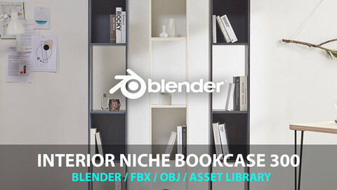 Interior Niche Bookcase 300