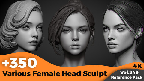 +350 Various Female Head Sculpt Reference(4k)