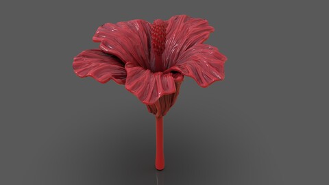 Hibiscus Flower Sculpt