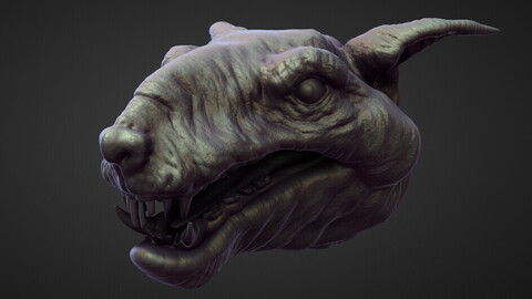 HEAD51 high poly sculpt