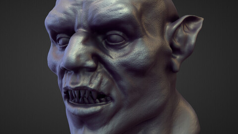 HEAD55 high poly sculpt