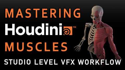 Mastering Houdini Muscles: A Studio Level VFX Workflow