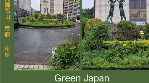 Green Japan