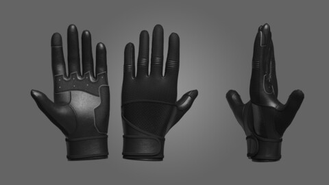 gloves 3D Model