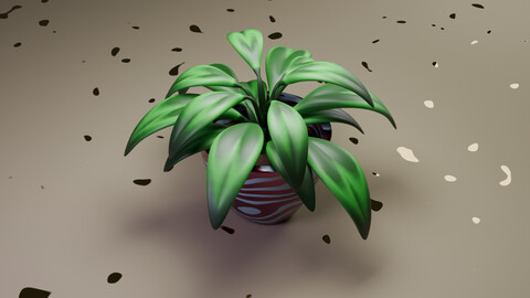 Cute Plant