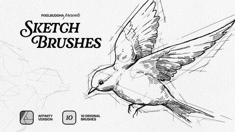 Sketch Brushes for Affinity