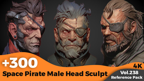 +300 Space Pirate Male Head Sculpt Reference(4k)