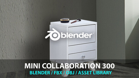 Mini Collaboration 300