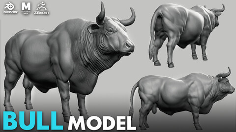 Bull - Topology + UV Map