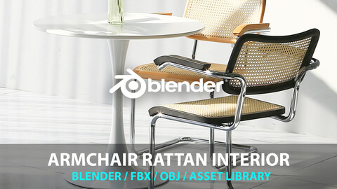 Armchair Rattan Interior