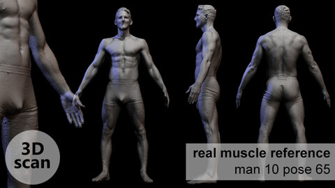 3D scan real muscle anatomy Man 10 pose 65