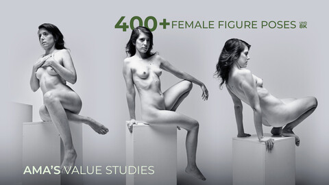 400+ Female Figure Poses - Ama's Value Studies