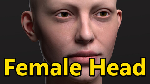 Female Realistic Portrait - 3D Model