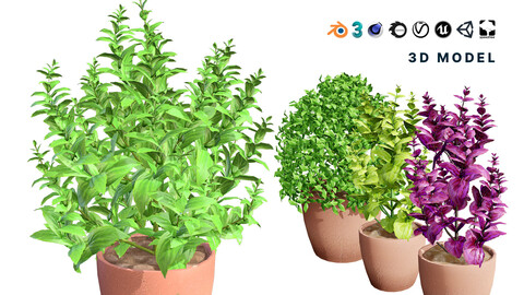 Low-Poly Basil Plants with Free Tutorial