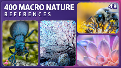 400 Macro Nature Reference Pack – Vol 1