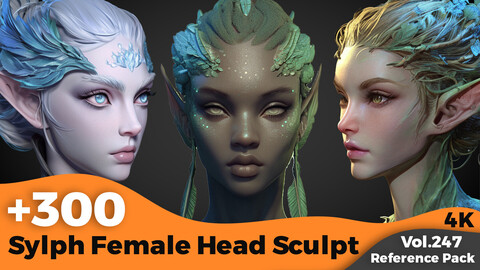 +300 Sylph Female Head Sculpt Reference(4k)