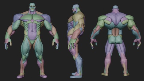 Wide Hero Anatomy Blockout