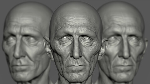 Peter Cushing - Likeness sculpt (Moff Tarkin)