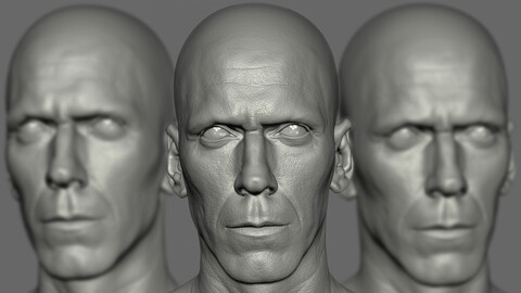 Hugh Laurie - Likeness sculpt