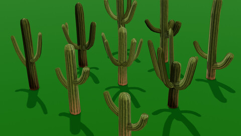 Cactus Pack 3D model