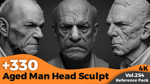 +300 Aged Man Head Sculpt(4k)