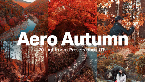 20 Aero Autumn LUTs & Lightroom Presets