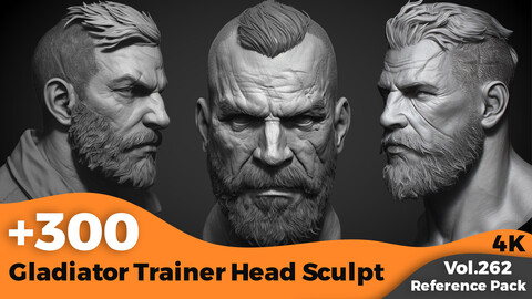 +300 Gladiator Trainer Head Sculpt(4k)