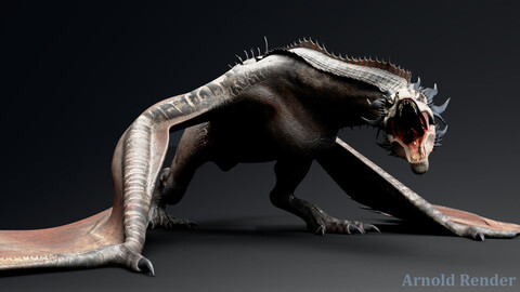 Wyvern Type Dragon 2 - Unity Project