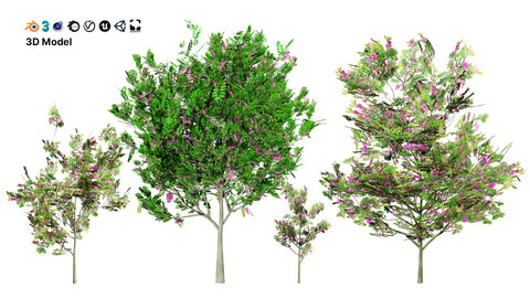 Purple Robe Robinia 3D Model