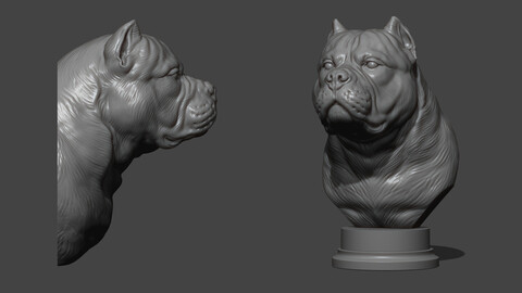 American bully bust