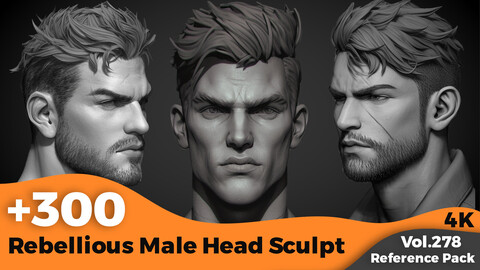 +300 Rebellious Male Head Sculpt(4k)