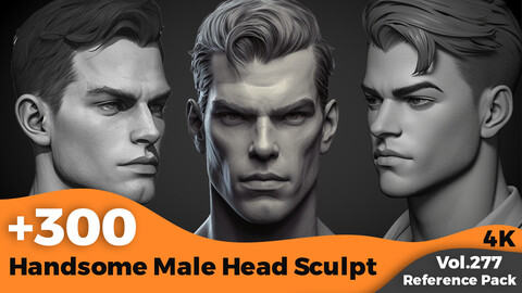 +300 Handsome Male Head Sculpt(4k)