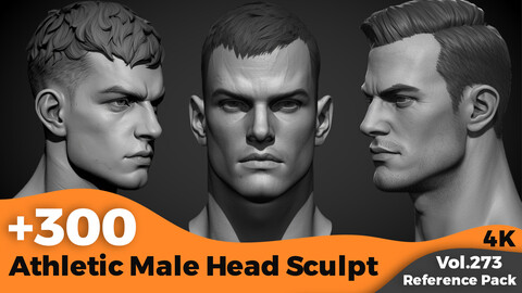 +300 Athletic Male Head Sculpt(4k)