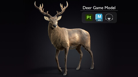 Deer Game Model