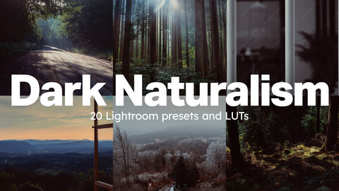 20 Dark Naturalism LUTs & Lightroom Presets