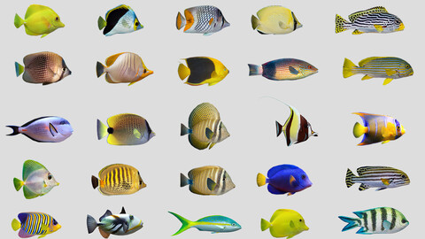 Coral Reef Fish Collection Animated - Game Ready Pack 9