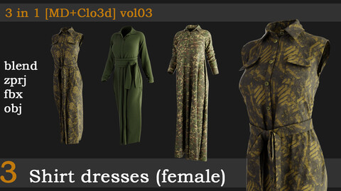 3 Shirt dresses(female)[fbx+obj+zprj+blend]vol03