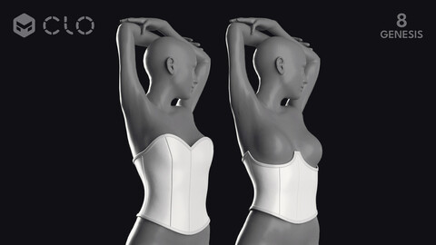 CORSET BASES – zprj obj fbx highpoly