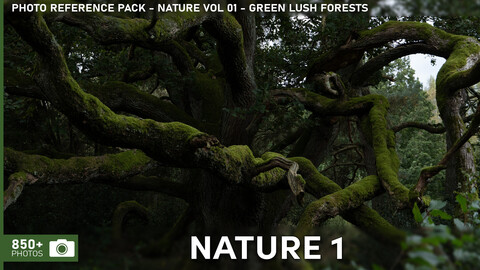 Photo Reference Pack - Nature VOL.01 - Green Lush Forests