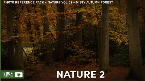 Photo Reference Pack - Nature VOL.02 - Misty Autumn Forests