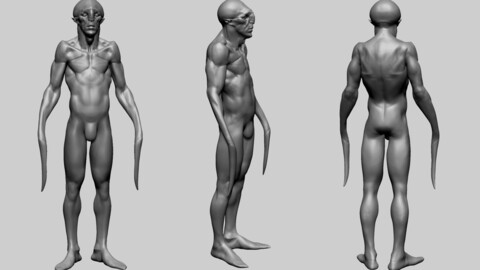 Creature Body Form E