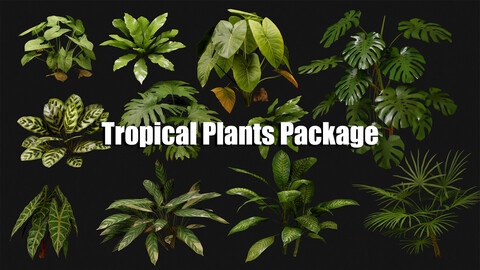 Tropical Plants Package Vol. 2