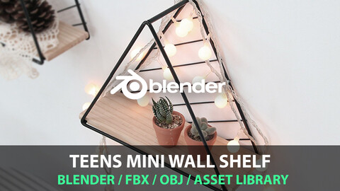 Teens Mini Wall Shelf