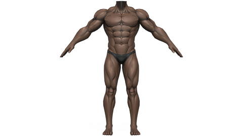 Muscular Body Base Mesh